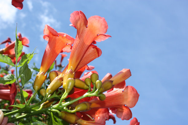 1630759826893714.jpg beae566419f36661d50fc1fc4dd84a85_t0107b5047e56779e9a.jpg