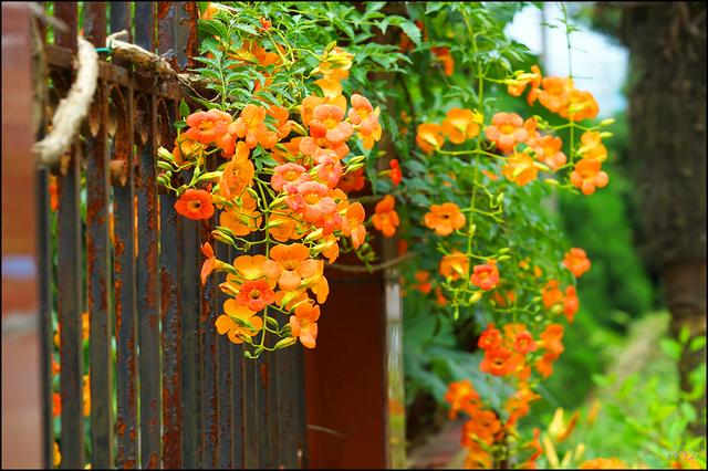 1630760061434650.jpg 1630760061434650.jpg