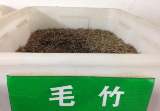 1630911460264356.jpg image.jpg