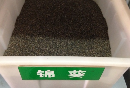 1630917080777321.jpg image.jpg