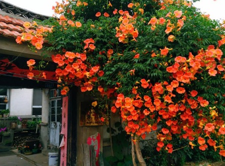 1631114895646062.jpg 1631114895646062.jpg