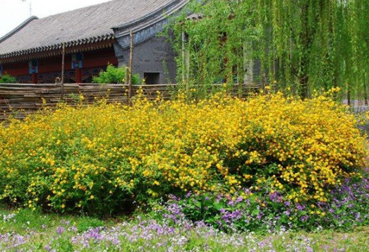 1631159483138589.jpg image.jpg