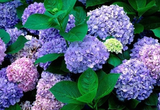 1631161237854793.jpg image.jpg