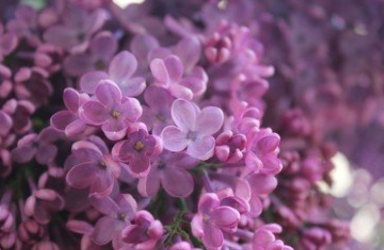 1631372131651086.jpg 1631372131651086.jpg