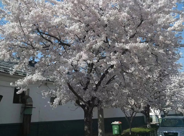 1631414522650361.jpg 1631414522650361.jpg