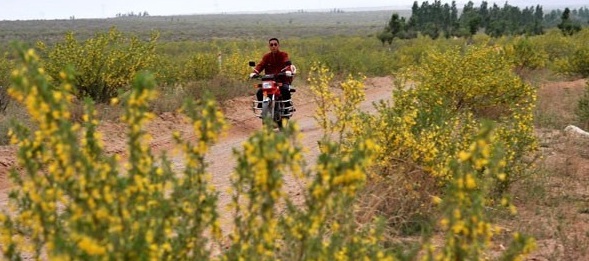 1631437725788673.jpg image.jpg