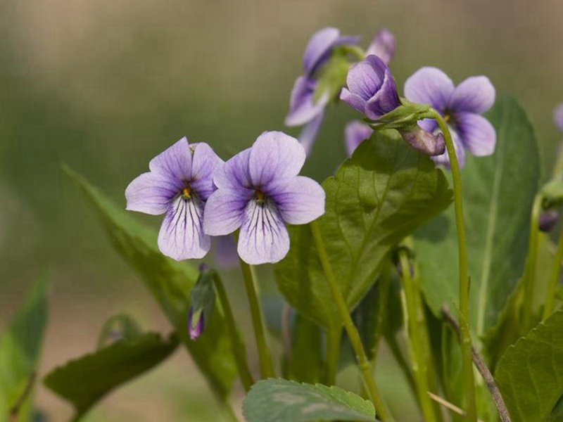 1600002661459306.jpg 1600002661459306.jpg