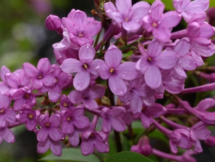 1631513598237434.jpg 1631513598237434.jpg