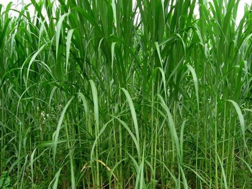 1631524332452851.jpg 1631524332452851.jpg