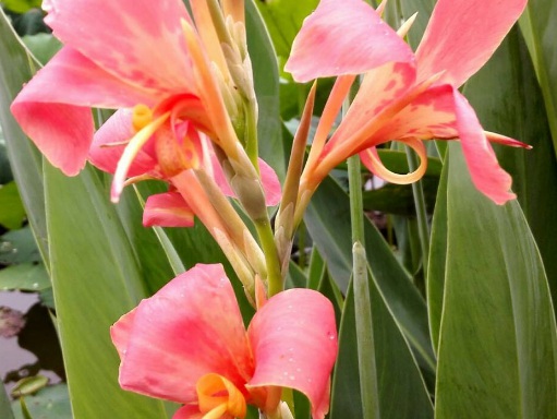 1631749229978518.jpg 1631749229978518.jpg