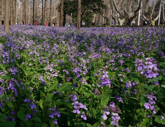 1631787901472901.jpg image.jpg