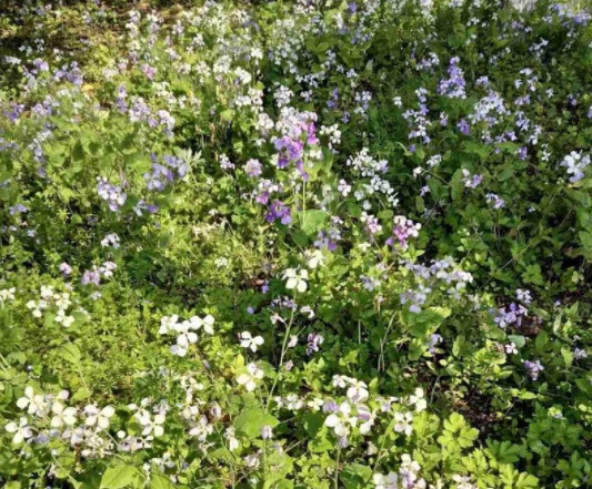 1631787934134203.jpg image.jpg