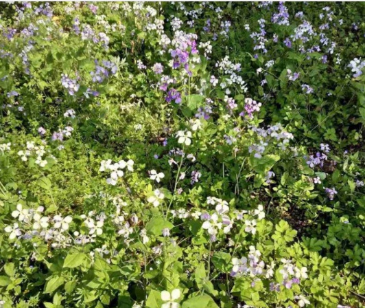 1631789525739816.jpg 1631789525739816.jpg