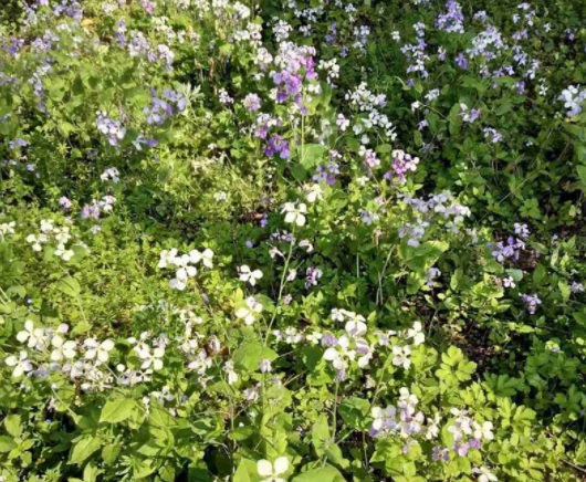 1631789570659508.jpg image.jpg