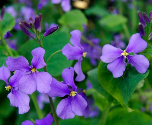 1631789593106189.jpg image.jpg