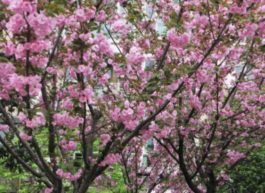 1631790109458574.jpg image.jpg