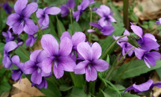 1631798282657171.jpg 1631798282657171.jpg