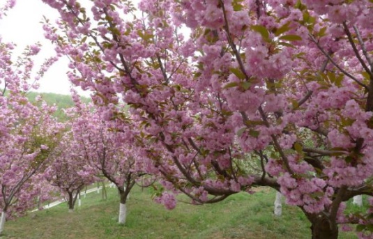 1631865544802560.jpg image.jpg