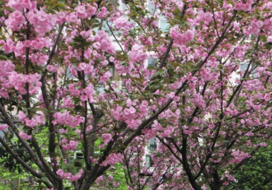 1631865559389109.jpg image.jpg