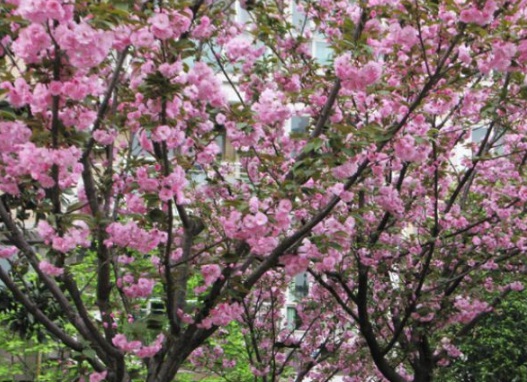 1631866417644351.jpg image.jpg