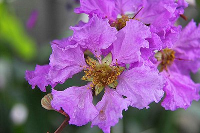 1631972817342900.jpg 1631972817342900.jpg