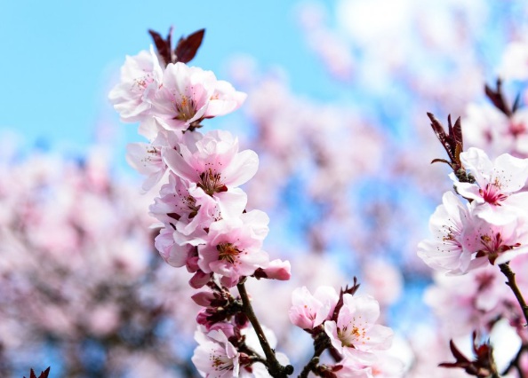 1632271724977711.jpg image.jpg