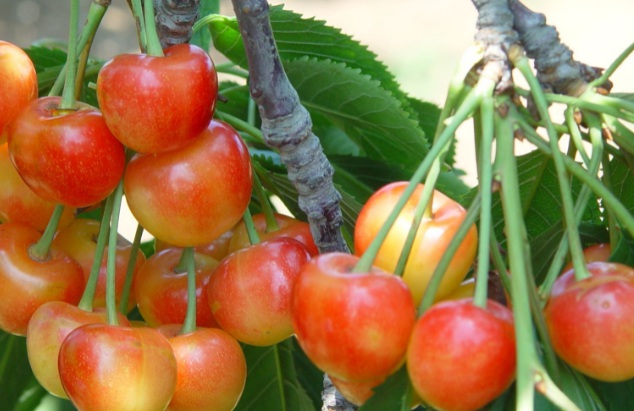 1632291418613769.jpg 1632291418613769.jpg