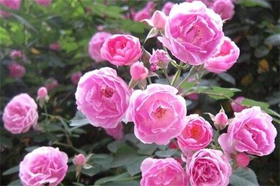 1612502355112059.jpg 1612502355112059.jpg