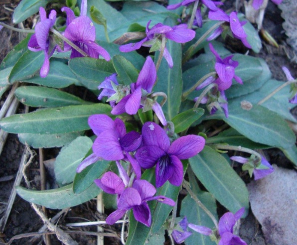 1632377579881409.jpg image.jpg