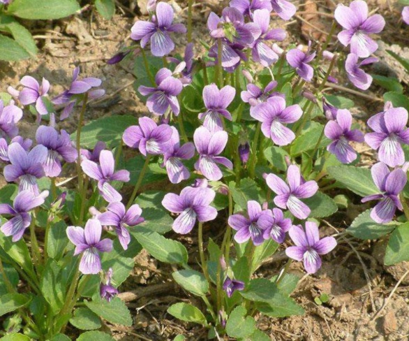 1632377640739337.jpg image.jpg