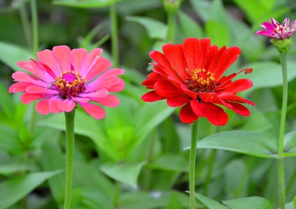 1632581580760029.jpg image.jpg