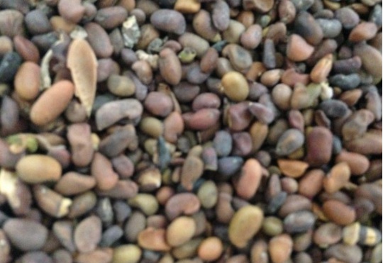 1632813302320941.jpg image.jpg