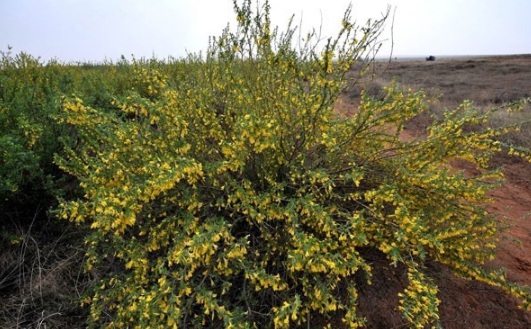 1632813334933203.jpg image.jpg