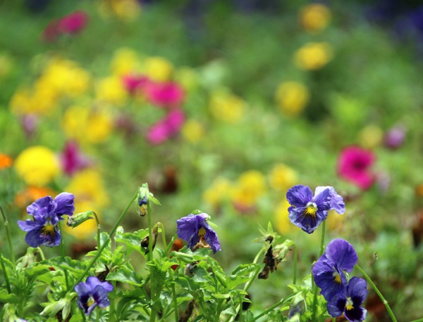 1632834267375220.jpg image.jpg