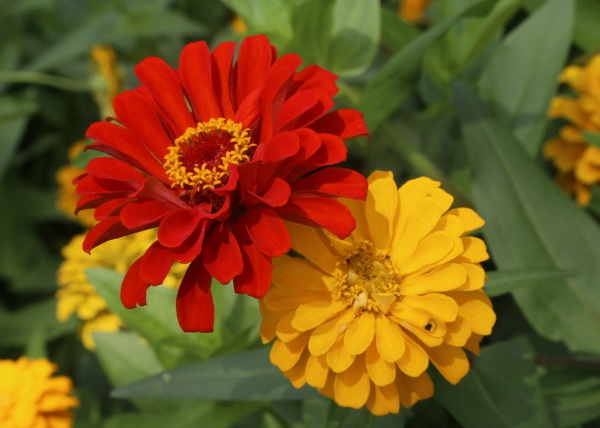 1632835773300382.jpg image.jpg