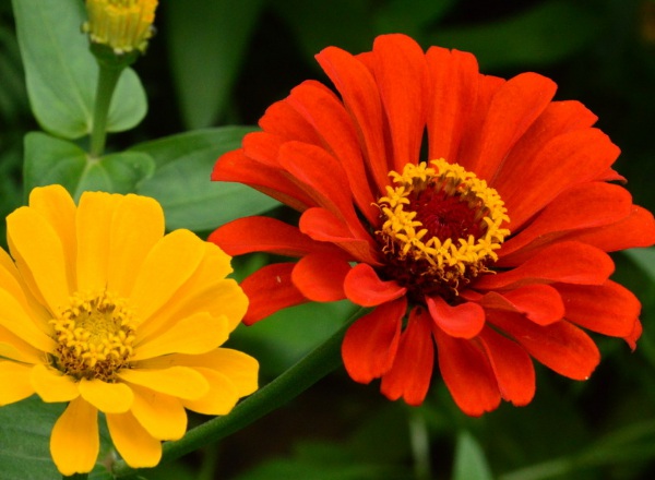 1632835940903696.jpg image.jpg