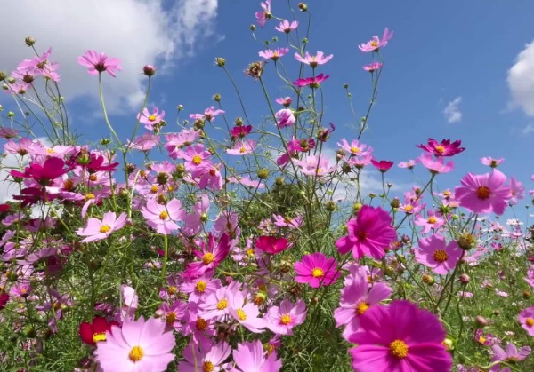 1632875782762228.jpg image.jpg