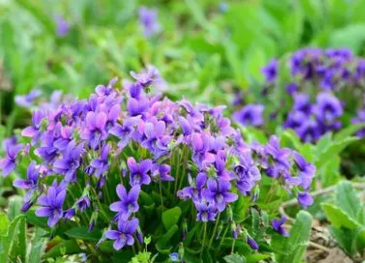 1632904738410100.jpg 1632904738410100.jpg