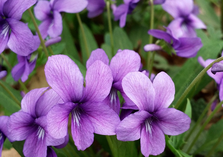 1632904769509382.jpg 1632904769509382.jpg