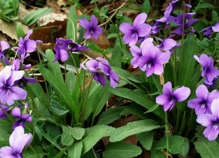 1632904800310768.jpg 1632904800310768.jpg