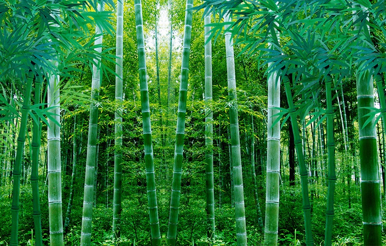 1634029195318850.jpg 1616.jpg