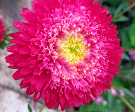 1634104398684395.jpg image.jpg