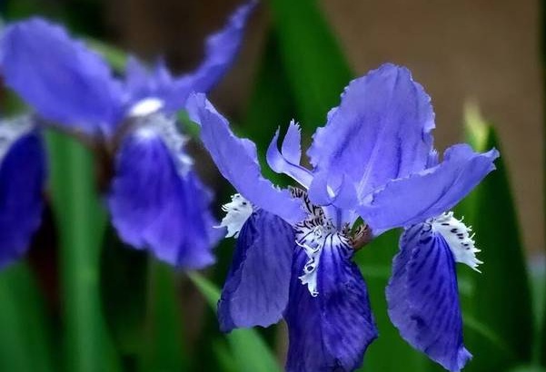 1634119577400620.jpg image.jpg