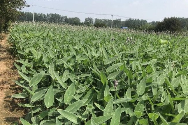 1634121851648402.jpg 圖片.jpg