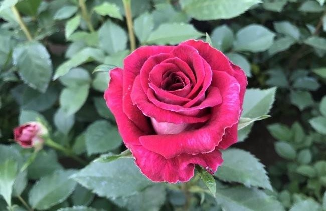 1634123255960349.jpg 圖片.jpg