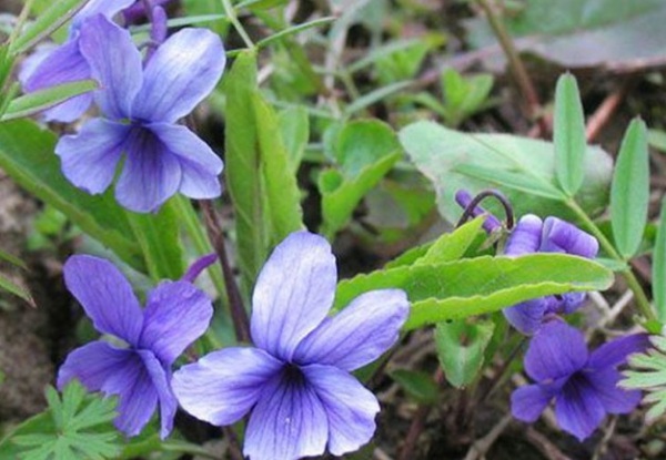 1634347945319036.jpg image.jpg