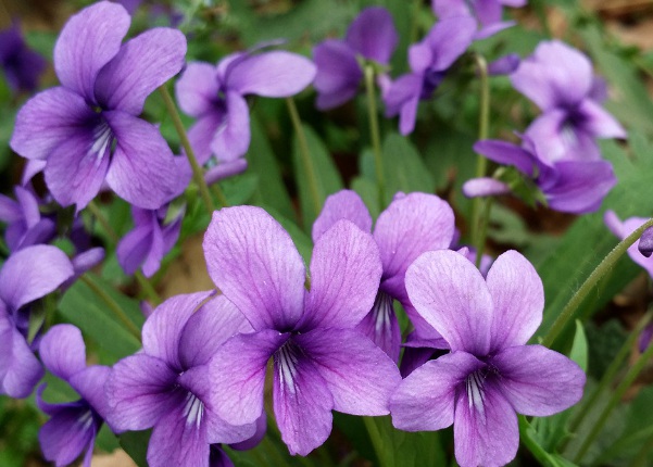 1634347958734920.jpg image.jpg