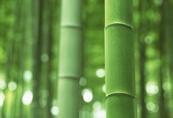 1634359858885876.jpg image.jpg