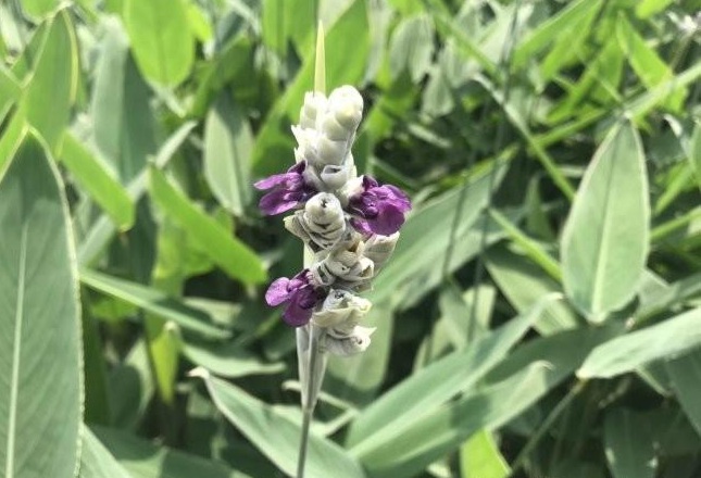 1634464152588776.jpg 圖片.jpg