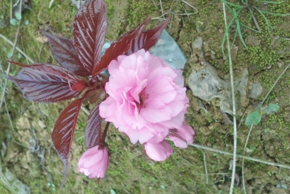 1634464646611093.jpg 圖片.jpg